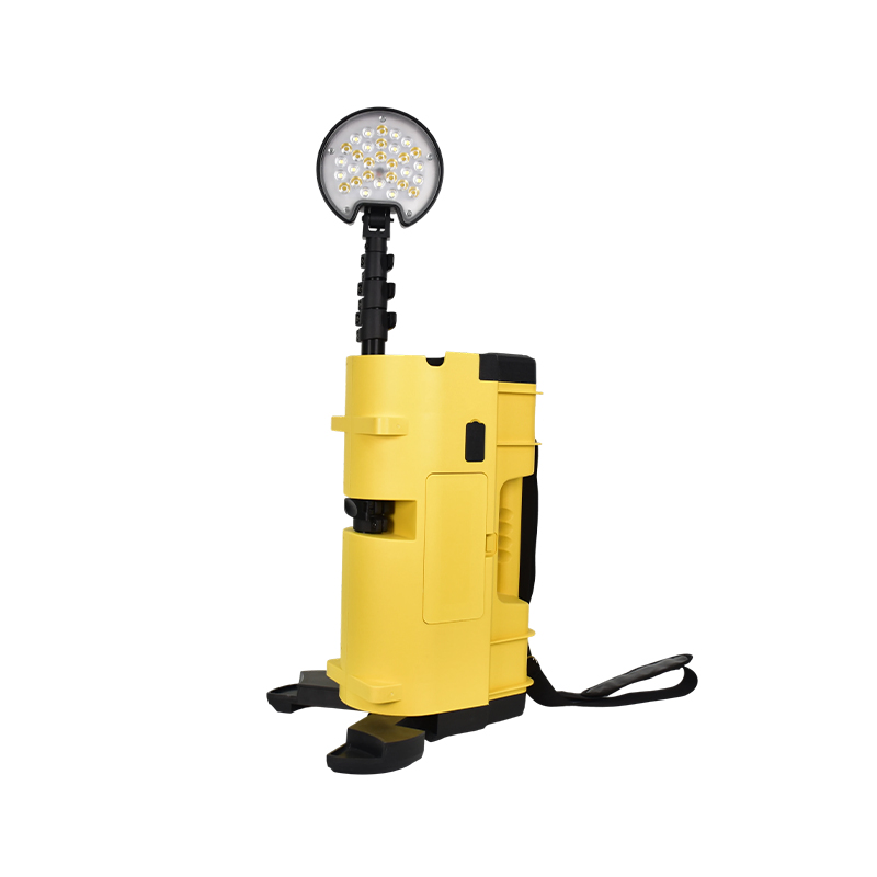 Remote Area Light