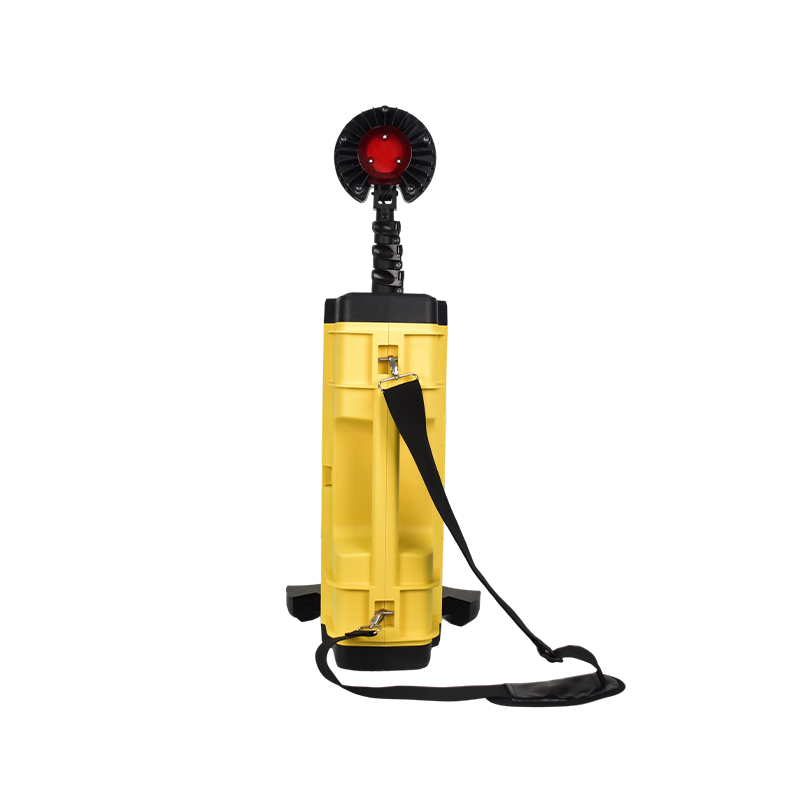 Remote Area Light